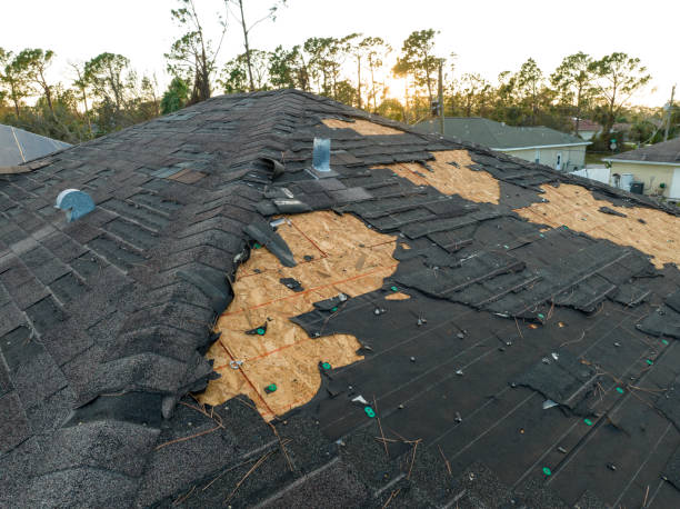 Best Roof Waterproofing  in Milmay, NJ